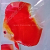 Red Melon White Face 15 - 16 cm Red-Melon-White-Face-15-16-cm